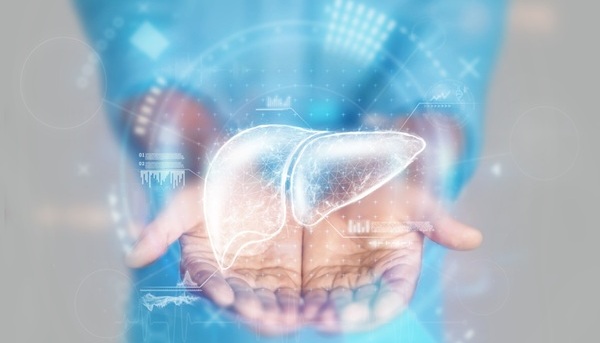 Image: The approach analyzes commonly captured clinical variables to assign individualized risk for hepatocellular carcinoma (Photo credit: Adobe Stock)