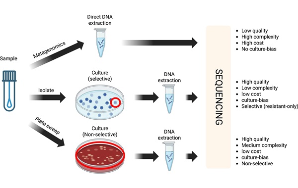 Image: Advantages and disadvantages of environmental surveillance techniques in hospital settings (Microbial Genomics (2026). DOI: 10.1099/mgen.0.001597)