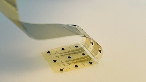 Image: Designed as ultra‑thin, micrometric, and highly flexible, the electrodes conform to cortical surfaces and access hard‑to‑reach areas (photo courtesy of INBRAIN Neuroelectronics)
