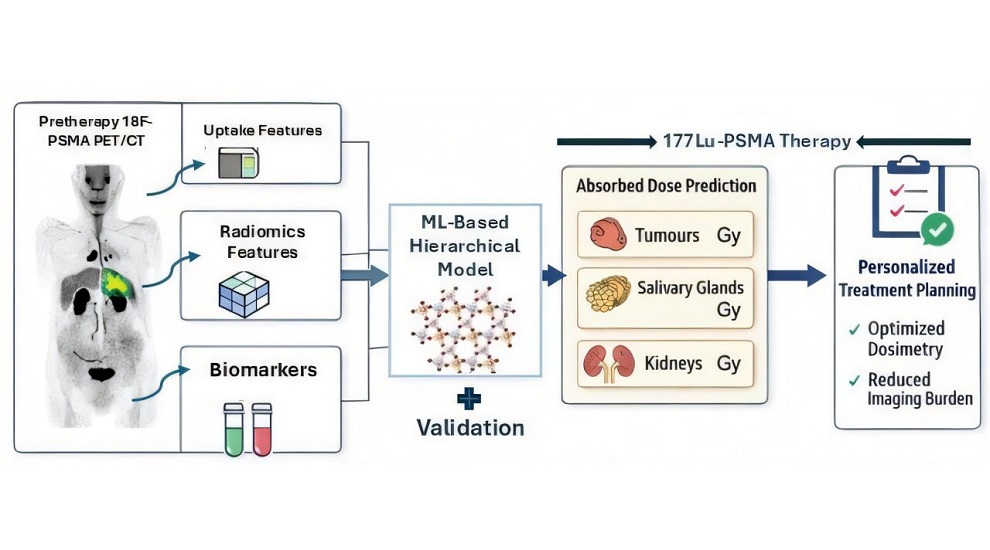 Image: Workflow for prediction of 177Lu-PSMA therapy absorbed dose using pre-therapy 18F-PSMA PET/CT (Photo courtesy of SNMMI)