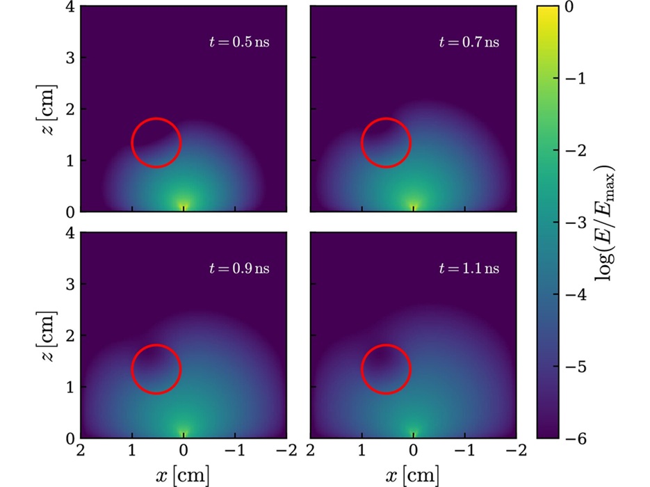 Image: Example snapshots of the photon energy density at t = 0.5, 0.7, 0.9, 1.1 nanoseconds (ns) on the y = 2.0 cm plane (Horie, S., Yajima, H., Abe, M. et al., Biomedical Engineering Letters (2026). DOI: 10.1007/s13534-026-00578-9)