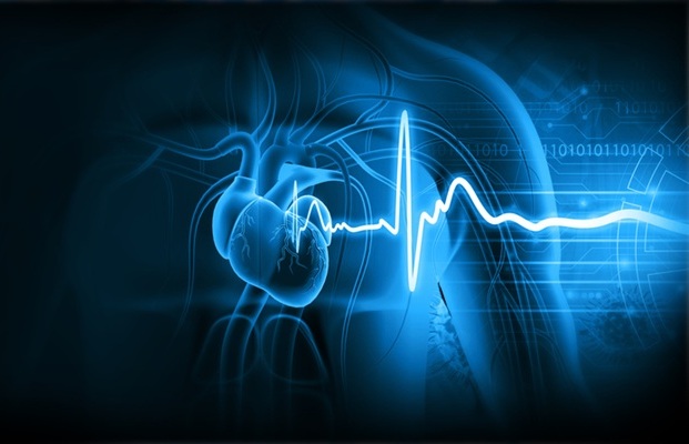 Image: An AI approach detects a previously unrecognized ECG signal associated with sudden cardiac death (Image credit: iStock)