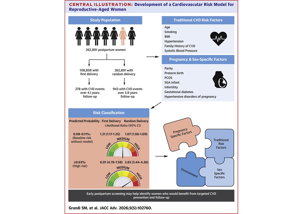 Image: Central Illustration (Sonia M. Grandi et al, Development and Validation of a Prediction Model for Cardiovascular Risk in Reproductive-Aged Women, JACC: Advances (2026). DOI: 10.1016/j.jacadv.2026.102760)