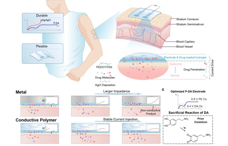 Image: The patch uses a mild electric current to help compounds move through the skin. Dopamine helps protect the polymer electrode from electrical degradation and keeps it stable in wet conditions. (Photo courtesy of Yixin Qi)