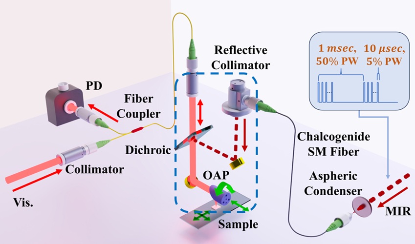 Image: Researchers developed a handheld photothermal mid-infrared spectroscopic imaging (MIRSI) system that measures just 8 square inches. Probe light from a visible (red) diode laser and pump light from a modulated quantum cascade laser (QCL) are coupled into optical fibers and delivered to a flexible, handheld imager (blue dashed box). The beams are combined at a short-pass dichroic mirror and focused onto the sample using an off-axis parabolic mirror (OAP). (Image Credit:Rohith Reddy, University of Houston)