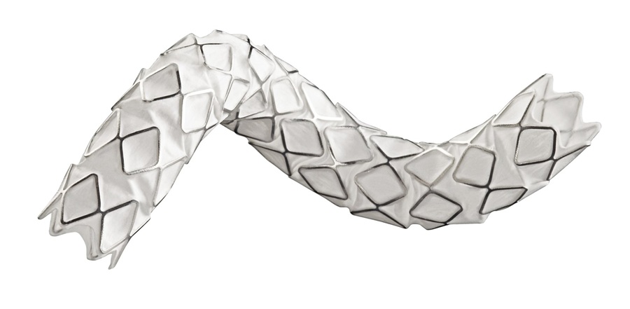 Image: GORE VIABAHN VBX Balloon Expandable Endoprosthesis (VBX Stent Graft) (Photo courtesy of W. L. Gore & Associates)