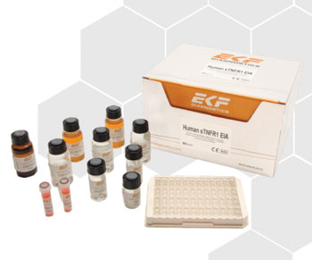The sTNFRr1 ELISA kit measures a predictive marker of chronic kidney disease (CKD) and end stage renal disease (ESRD)