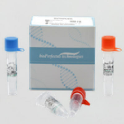 MONKEYPOX VIRUS REAL TIME PCR KIT