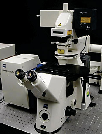The Zeiss LSM510 laser scan confocal microscope