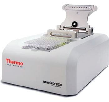 The NanoDrop 8000 UV-Vis Spectrophotometer