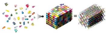Image: Interlocking DNA bricks create a three-dimensional molecular canvas. Each canvas is composed of many oligonucleotides, or DNA bricks, that have four consecutive eight nucleotide domains. The bricks assemble at right angles to other interlocking bricks, using standard A-T and G-C base pairing (Photo courtesy of Integrated DNA Technologies).