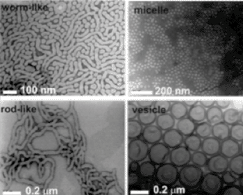 Image: Microscope images of the worm-like, rod-like, micelle- and vesicle-shaped nanoparticles (Photo courtesy of University of New South Wales, Australia).