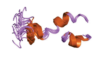 Image: Graphic of Cytoplasmic domain of the integrin beta-3 (Photo courtesy of Wikipedia Commons).