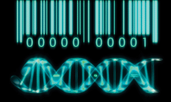 Image: A method based on DNA-barcode-antibody sensing allows analysis of a multitude of proteins from minimally invasive fine-needle aspirates (Photo DNA-barcode schematic, courtesy of Roche).