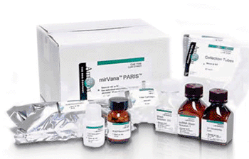 Image: The mirVana PARIS RNA and Native Protein Purification Kit (Photo courtesy of Life Technologies).