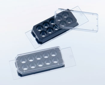 Image: CELLview slide with a removable housing that divides the slide into ten round compartments (Photo courtesy of Greiner Bio-One).