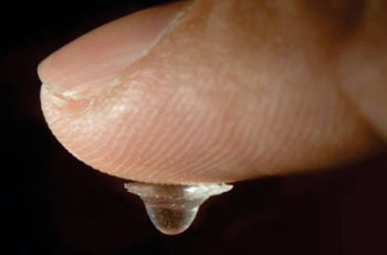 Image: A single droplet lens suspended on a fingertip (Photo courtesy of Stuart Hay).