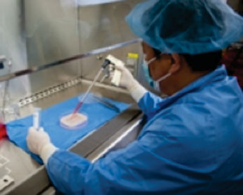 Image: Lab-grown vaginal organs implanted in patients (Photo courtesy of the Wake Forest Institute for Regenerative Medicine).