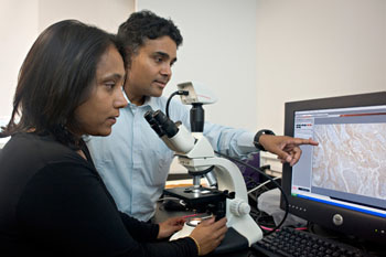 Image: Arup and Gitali Indra are beginning to find clues to predicting, preventing and stopping melanoma before it spreads (Photo courtesy of Karl Maasdam / Oregon State University College of Pharmacy).