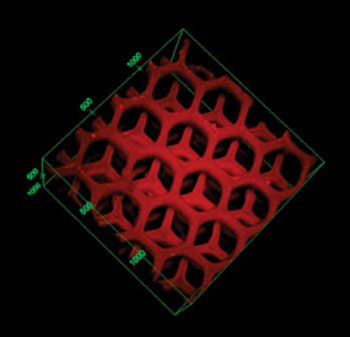 Image: Nanoengineers have developed a 3D printed device inspired by the liver to remove dangerous toxins from the blood. The device, which is designed to be used outside the body like dialysis, uses nanoparticles to trap pore-forming toxins that can damage cellular membranes and are a key factor in illnesses that result from animal bites and stings, and bacterial infections (Photo courtesy of UCSD – the University of California, San Diego).