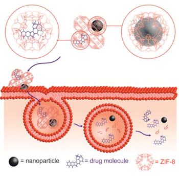 Image: A general synthetic route was developed to encapsulate small molecules in monodisperse zeolitic imid-azolate framework-8 (ZIF-8) nanospheres for drug delivery. Electron microscopy, powder X-ray diffraction, and elemental analysis show that the small-molecule-encapsulated ZIF-8 nanospheres are uniform 70-nm particles with single-crystalline structure. Several small molecules, including fluorescein and the anticancer drug camptothecin, were encapsulated inside of the ZIF-8 framework. Evaluation of fluorescein-encapsulated ZIF-8 nanospheres in the MCF-7 breast cancer cell line demonstrated cell internalization and minimal cytotoxicity. The 70 nm particle size facilitates cellular uptake, and the pH-responsive dissociation of the ZIF-8 framework likely results in endosomal release of the small-molecule cargo, thereby rendering the ZIF-8 scaffold an ideal drug delivery vehicle. To confirm this, the researchers demonstrated that camptothecin encapsulated ZIF-8 particles show enhanced cell death, indicative of internalization and intracellular release of the drug. To demonstrate the versatility of this ZIF-8 system, iron oxide nanoparticles were also encapsulated into the ZIF-8 nanospheres, thereby endowing magnetic features to these nanospheres Photo courtesy of the  American Chemical Society (ACS) journal ACS Nano).