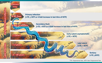 Image: Illustration showing Syphilis stages of infection in relation to use of Treponema pallidum tests (TP) versus non-treponemal tests (NTP) (Photo courtesy of Transasia Bio-Medicals).