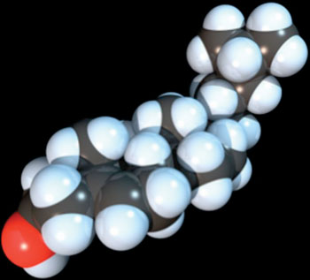 Image: Space-filling model of the cholesterol molecule (Photo courtesy of Wikimedia Commons).