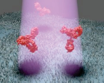 Image: Investigators identified individual unlabeled proteins by the weak shadow that the biomolecules produce when they scatter laser light (Photo courtesy of the Max Planck Institute for the Science of Light).