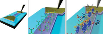 Image: An illustration of an epitaxial graphene channel biosensor for detection of targeted 8-hydroxydeoxyguanosine (8-OHdG) biomarker (Photo courtesy of 2D Materials).