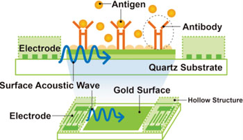 Image: Illustration of the novel SAW biosensor technology underlying the OJ Bio prototype for quick and accurate point-of-care diagnosis of infectious diseases (Photo courtesy of OJ Bio).