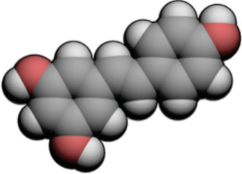 Image: Three-dimensional molecular space-fill model of resveratrol (Photo courtesy of Wikimedia Commons).