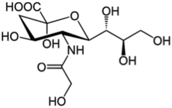 Image: N-Glycolylneuraminic acid (Neu5Gc) (Photo courtesy of Wikimedia Commons).