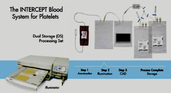 Image: The INTERCEPT Blood system for platelets (Photo courtesy of Cerus).