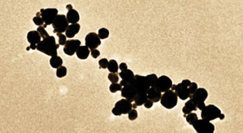 Image: Microscopic view of microplasma-gold nanoparticles on a new, highly sensitive test strip that enables early detection of heart attacks (Photo courtesy of New York University Polytechnic School of Engineering).