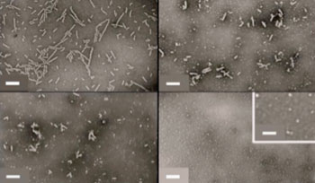 Image: A series of transmission electron microscopy (TEM) images shows the transition from cylindrical precursor nanoparticles to spherical nanoparticles (Photo courtesy of Dr. Andrew Dove, University of Warwick).