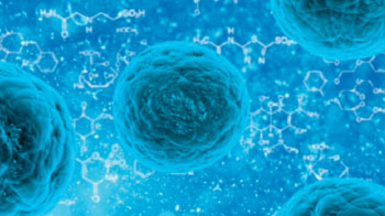 Image: PKC-zeta intestinal cancer stem cell regulation (Photo courtesy of Sanford-Burnham Medical Research Institute).