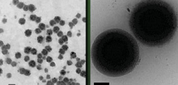 Image: Nanoparticles in low and high resolution micrographs (Photo courtesy of Green Laboratory, Johns Hopkins University).