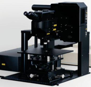 Image: The FLUOVIEW FVMPE-RS Gantry microscope (Photo courtesy of Olympus).