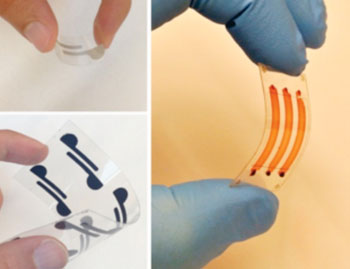 Image: Thin, lightweight, and flexible materials integrate cellulose paper and flexible polyester films as new diagnostic tools to detect biological agents in whole blood, serum, and peritoneal fluid (Photo courtesy of Florida Atlantic University).