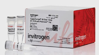 Image: The SuperScript III One-Step reverse transcriptase polymerase chain reaction (RT-PCR) kit with Platinum Taq (Photo courtesy of Invitrogen).