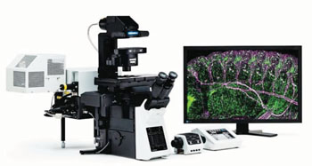 Image: The FluoView 500 Laser Scanning Confocal Microscope (Photo courtesy of Olympus Inc.).