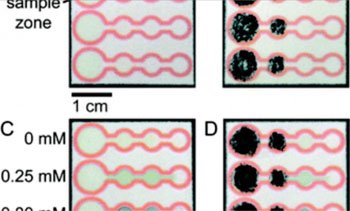 Image: Example comparing dropper and “reagent pencils” methods. Left —reagents applied conventionally as droplets of solution; Right—reagents applied with the newly developed reagent pencils. Top row shows the starting point, the bottom row the result—the colored product produced is the same in both methods used. (Photo courtesy of Mitchell HT et al, 2015, and the journal Lab on a Chip/RSC)