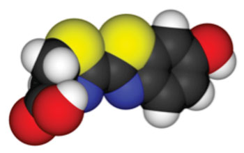 Image: A space-filling model of firefly luciferin. Color coding: yellow = sulfur; blue = nitrogen; black = carbon; red = oxygen; white = hydrogen (Photo courtesy of Wikimedia Commons).