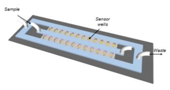 Image: Schematic of the antibiotic susceptibility testing device. Bacteria are cultured in miniature chambers, each of which contains a filter for bacterial capture and electrodes for readout of bacterial metabolism (Photo courtesy of the University of Toronto).