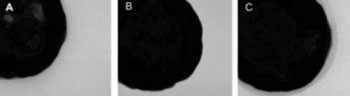 Image: Using a transmission electron microscope (TEM): (A) a bare nanoparticle, (B) a nanoparticle prepared for coating and (C) a nanoparticle coated with a thin layer of drug-delivering hydrogels (Photo courtesy of Dr. Jennifer West, Duke University).