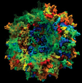 Image: Artist\'s conception of an adeno-associated viral capsid in formation by ancestral sequence reconstruction (Photo courtesy of Dr. Eric Zinn, Harvard University Medical School).