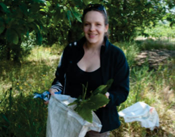 Image: Research headed by Emory University ethnobotanist Dr. Cassandra Quave, shown collecting chestnut leaves in Italy, was inspired by traditional folk remedies (Photo courtesy of Marco Caputo).