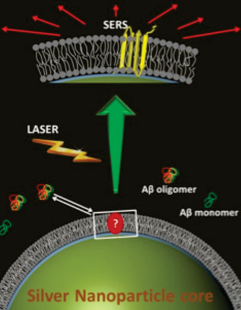 Image: Toxic Alzheimer\'s amyloid beta molecules landing on a fake cell membrane, wrapped around a silver nanoparticle. A laser, with help from the silver particle, lights up the molecule to reveal its structure (Photo courtesy of Dr. Debanjan Bhowmik, Tata Institute of Fundamental Research).