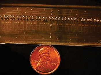 Image: The lab-on-a chip micro device is 7.62 cm long and 2.54 cm wide equal to the size of a glass microscope slide (Photo courtesy of Dr. Mehdi Ghodbane).