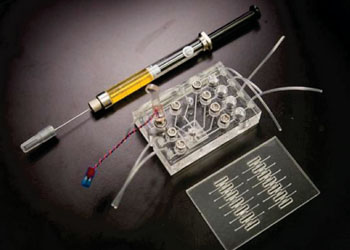 Image: The two key lab in a chip components with a syringe for scale, which will allow for rapid liver toxicity tests (Photo courtesy of Nanyang Technological University).